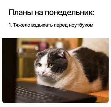 Смешная картинка №781980
