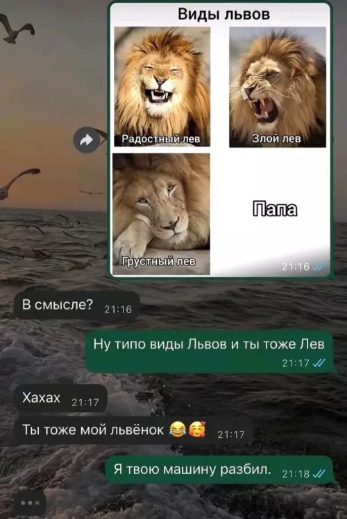 Смешная картинка №783855 Помянем львёнка