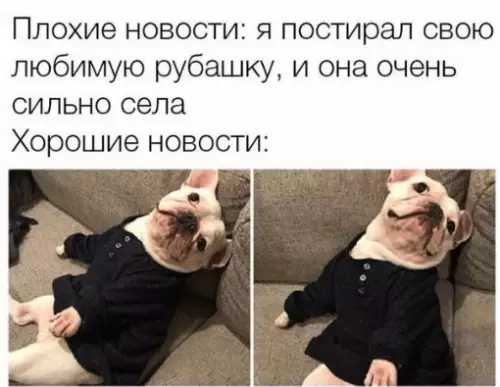 Смешная картинка №290061