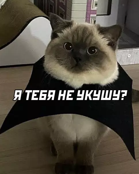 продолжение Смешная картинка №585430