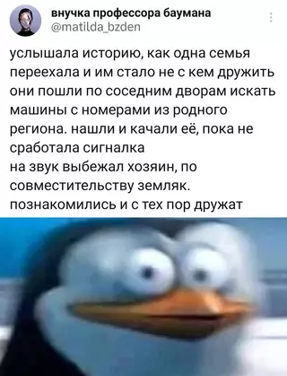 Смешная картинка №685096 В принципе, может быть правдой, я уже ничему не удивлюсь