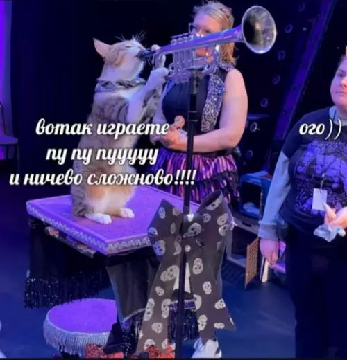 Смешная картинка №782449