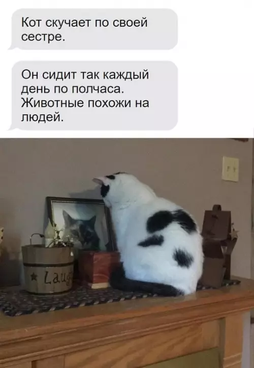 Смешная картинка №758510