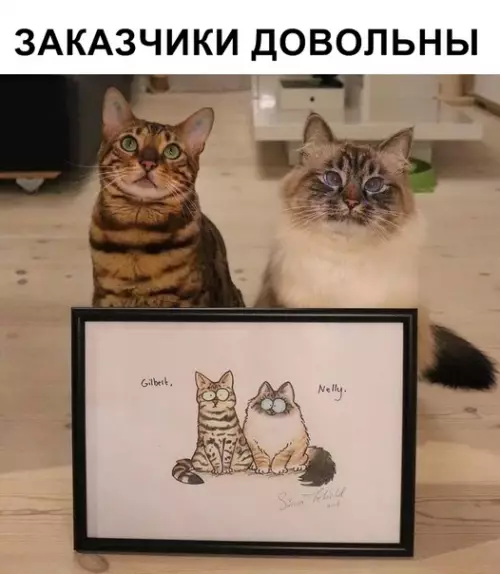 Смешная картинка №319098 Кошки