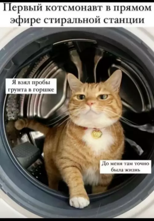 Первый кот-космонавт в стиралке 🚀🐱 - Первый котсманвт в прямом эфире стиральной станции. Я взял пробы