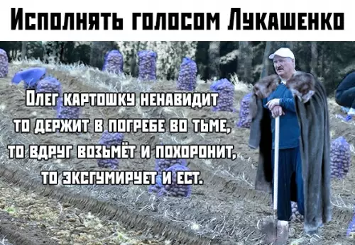 Смешная картинка №381678