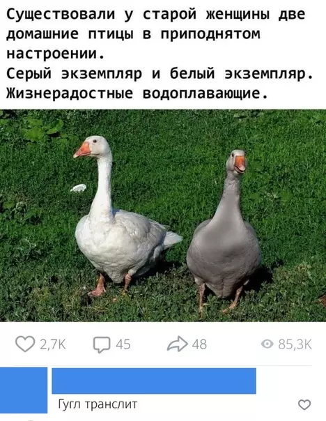 Смешная картинка №503040