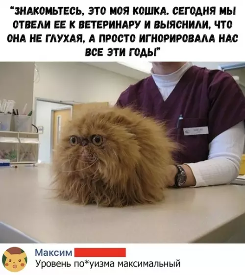 Смешная картинка №361762