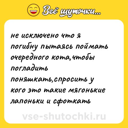Шутка: не исключено что я погибну пытаясь поймать очередного кота,чтобы погладить поняшкать,спросить у кого это такие мягонькие лапоньки и сфоткать