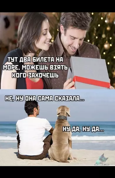 Смешная картинка №365781