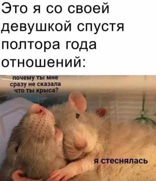 Смешная картинка №676556