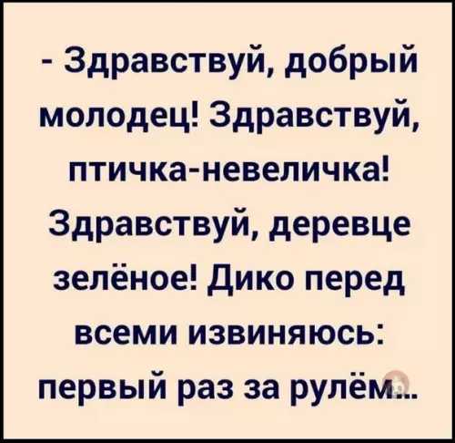 Смешная картинка №579539 Когда жена получила права ?