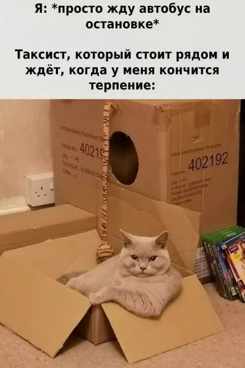 Смешная картинка №786509
