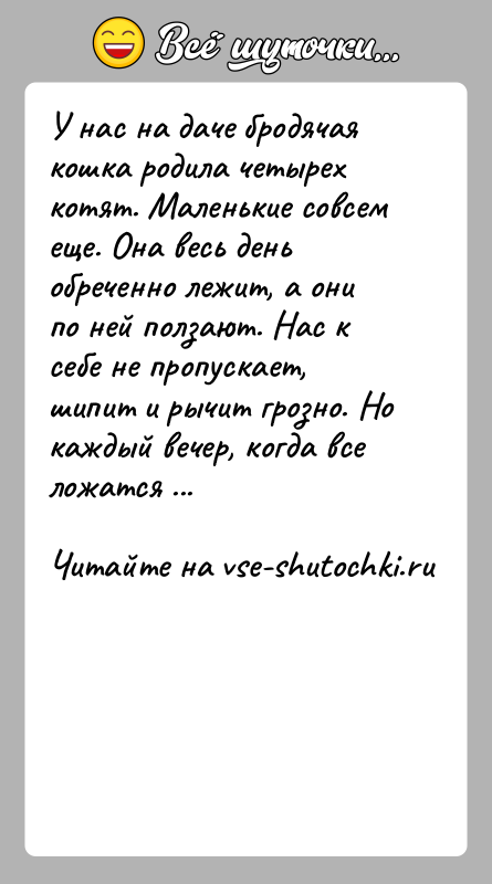 История: У нас на даче бродячая кошка родила четырех котят. Маленькие совсем еще. Она весь день обреченно лежит, а они по