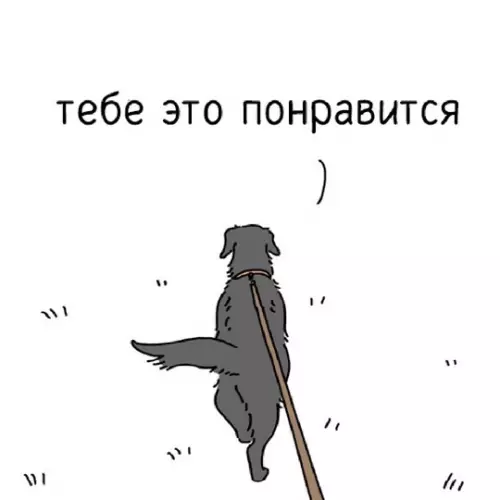 продолжение Смешная картинка №765405