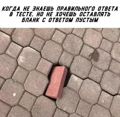 Смешная картинка №283926