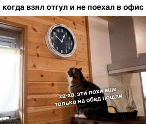 Смешная картинка №775938