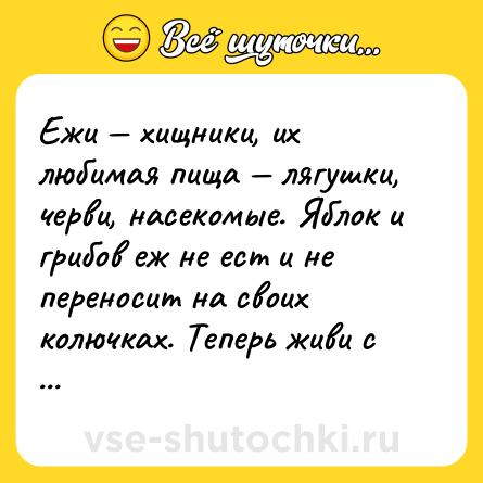 Шутка: Ежи — хищники, их любимая пища — лягушки, черви, насекомые. Яблок и грибов еж не ест и не переносит на своих колючках. Теперь живи с этим!