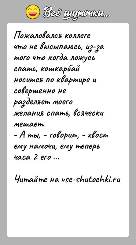 История: Пожаловался коллеге что не высыпаюсь, из-за того что когда ложусь спать, кошкарбай носится по квартире и совершенно не разделяет моего