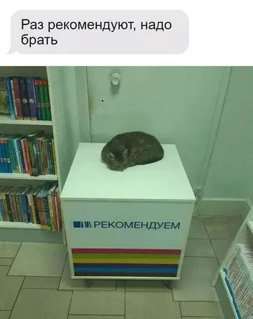 Смешная картинка №745779 Рекомендовано