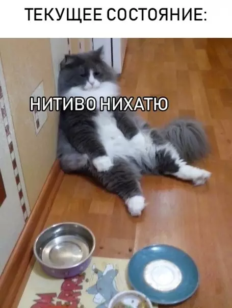 Смешная картинка №312314 А у вас?