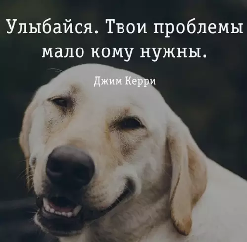 Смешная картинка №427725
