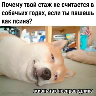 Смешная картинка №679507