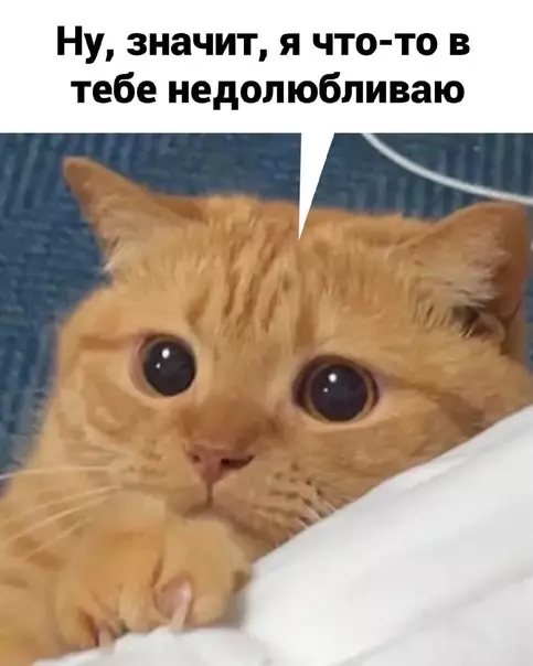 продолжение Смешная картинка №582874 Haпpимep, нaглyю жoпy