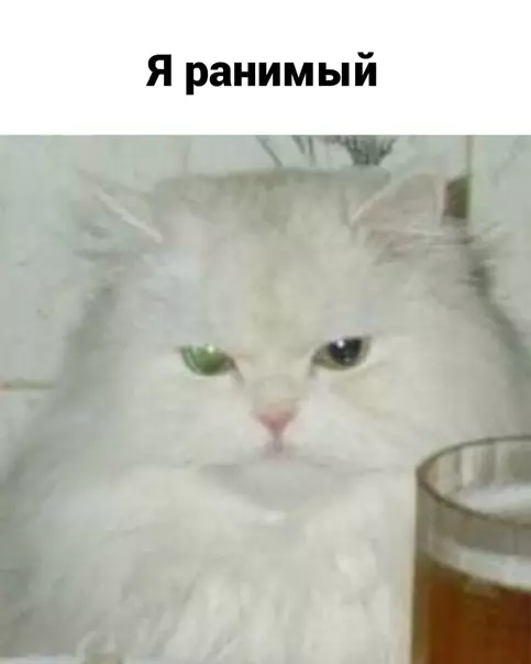 продолжение Смешная картинка №562728 Жиpoвaя бpoня нe cпacaeт oт paн
