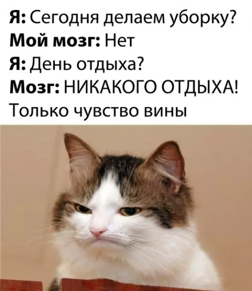 Смешная картинка №529631