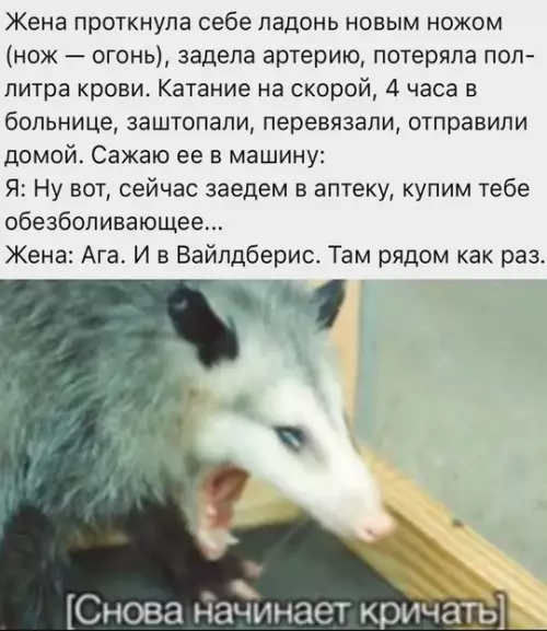 Смешная картинка №724408