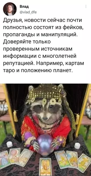 Смешная картинка №662045 новости