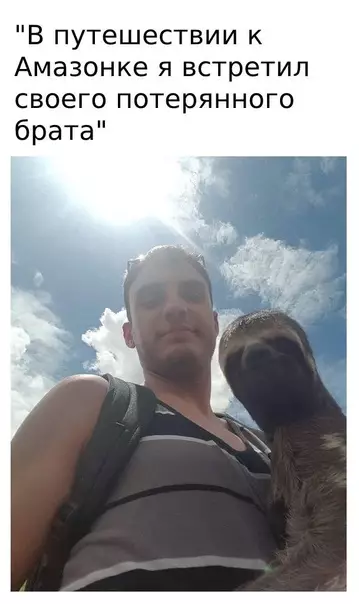 Смешная картинка №580247 Близнeцы