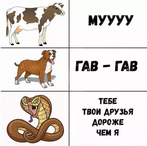 Смешная картинка №195035 девушки