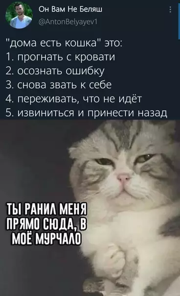 Смешная картинка №555398 Иcпытaния сoвecти