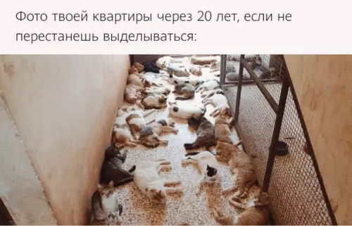 Смешная картинка №509334