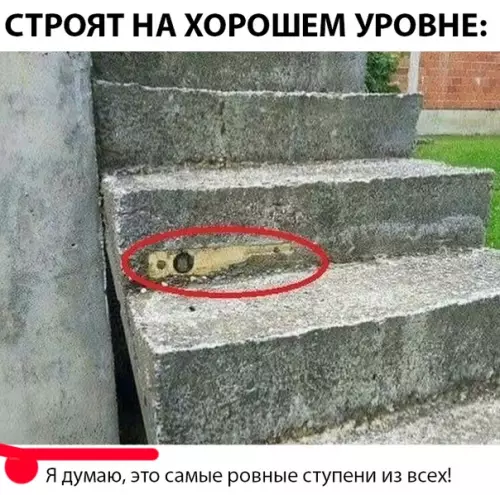Смешная картинка №297512