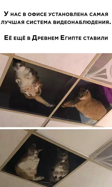 Смешная картинка №533783