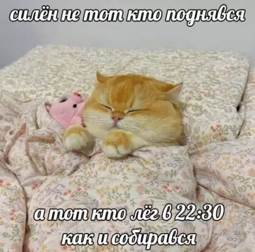 Смешная картинка №751286
