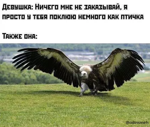 Смешная картинка №659026