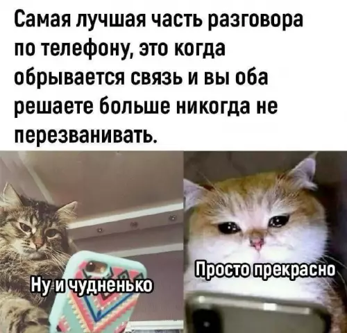 Смешная картинка №808514