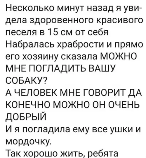 Смешная картинка №547522 Новогoднeй добpoты пocт!