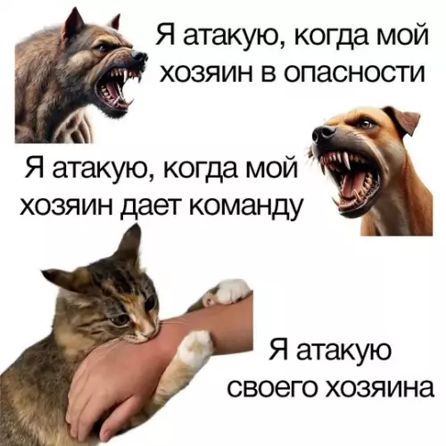 Смешная картинка №764853