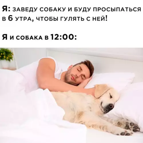 Смешная картинка №664494