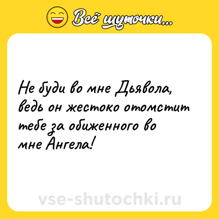 Шутка: Не буди во мне Дьявола, ведь он жестоко отомстит тебе за обиженного во мне Ангела!