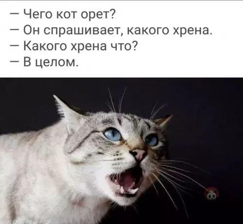 Смешная картинка №549916 Так и живем ?