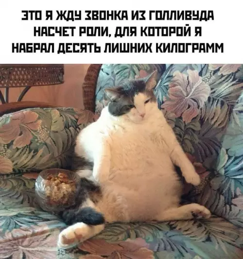 Смешная картинка №717538