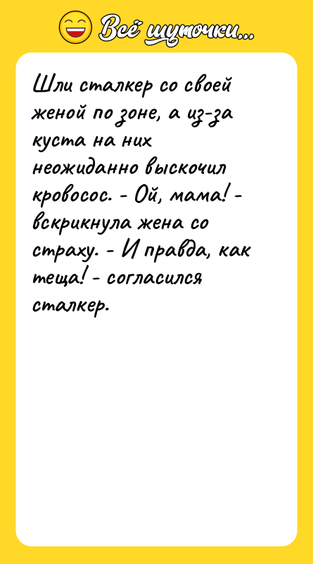 Шли сталкер со своей женой по зоне, а из-за куста
