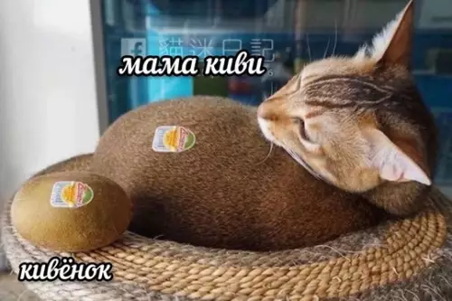 Смешная картинка №742299