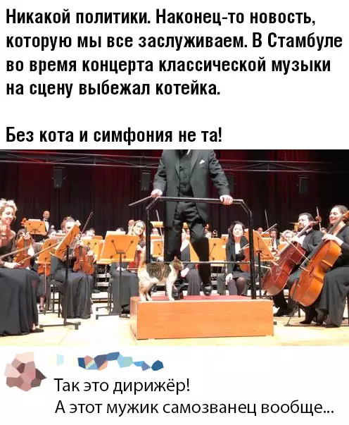 Смешная картинка №470227